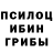 Галлюциногенные грибы Psilocybe Bruce Bonkowski