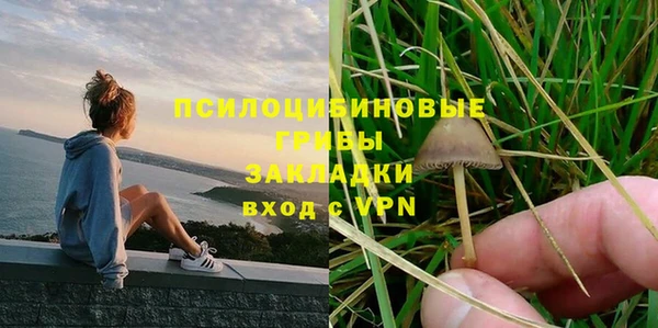 дживик Балахна