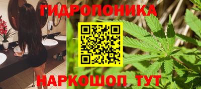 прущие грибы Таганрог